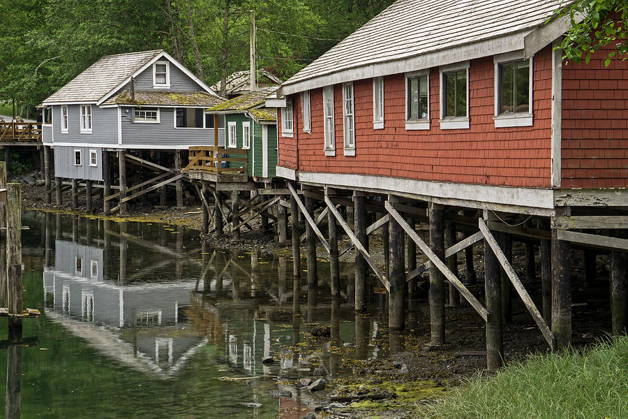 Telegraph Cove - wooden houses Photograph by Inge Riis McDonald