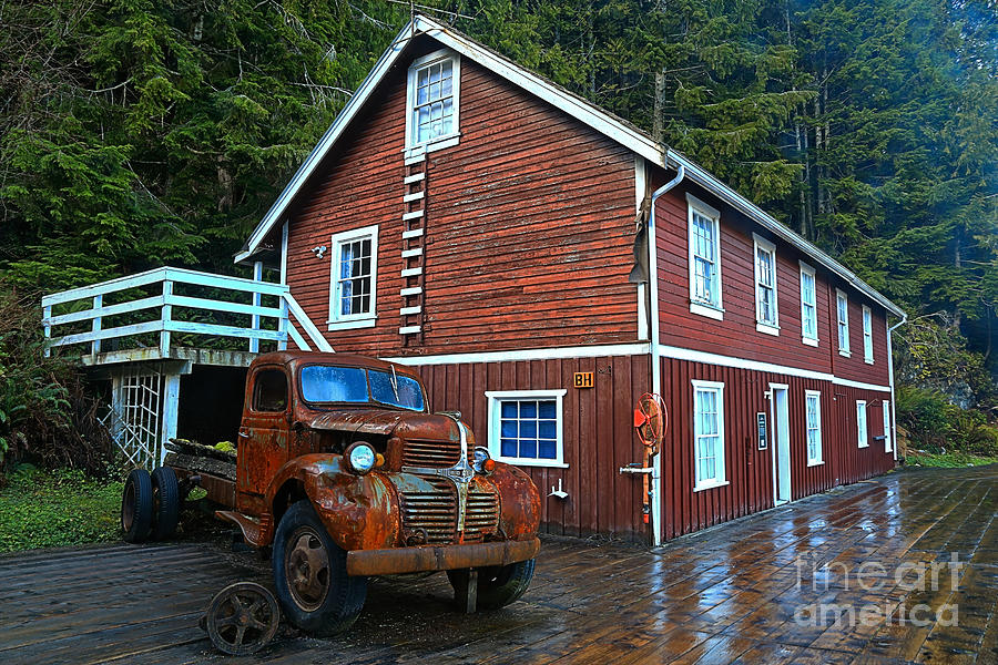 Telegraph Cove Workhorse Photograph by Adam Jewell