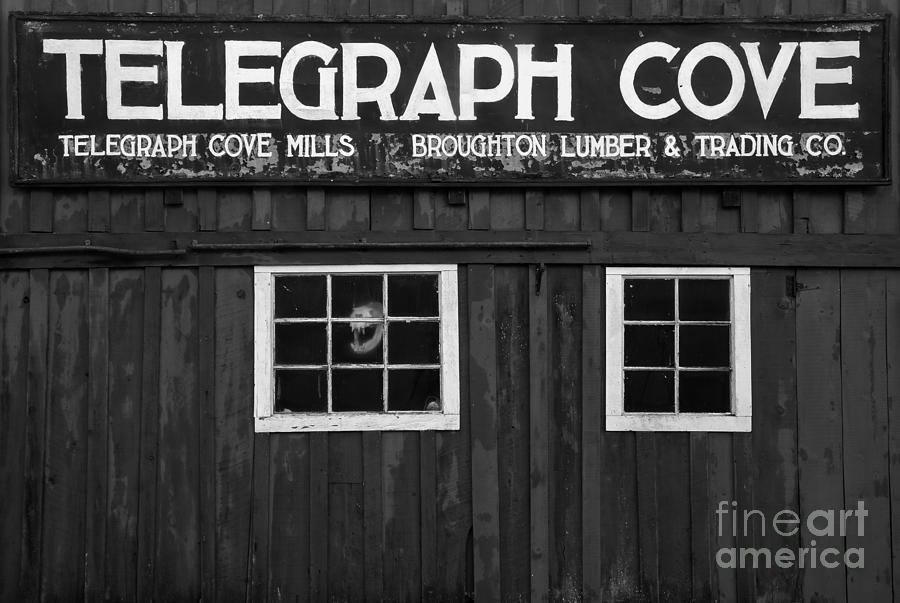 Telegraph Cover Sign Black And White Photograph by Adam Jewell