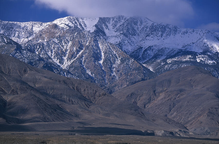 into the wilderness death valley