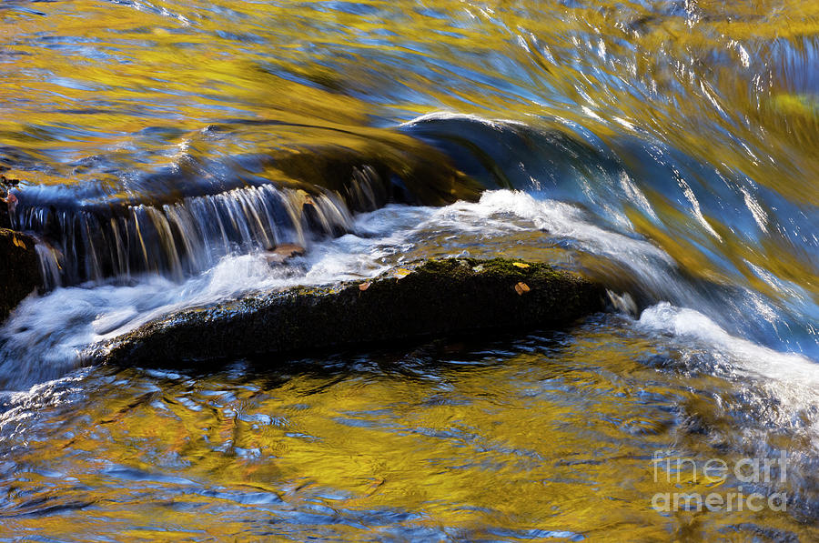 Tellico River - D010004 Photograph by Daniel Dempster