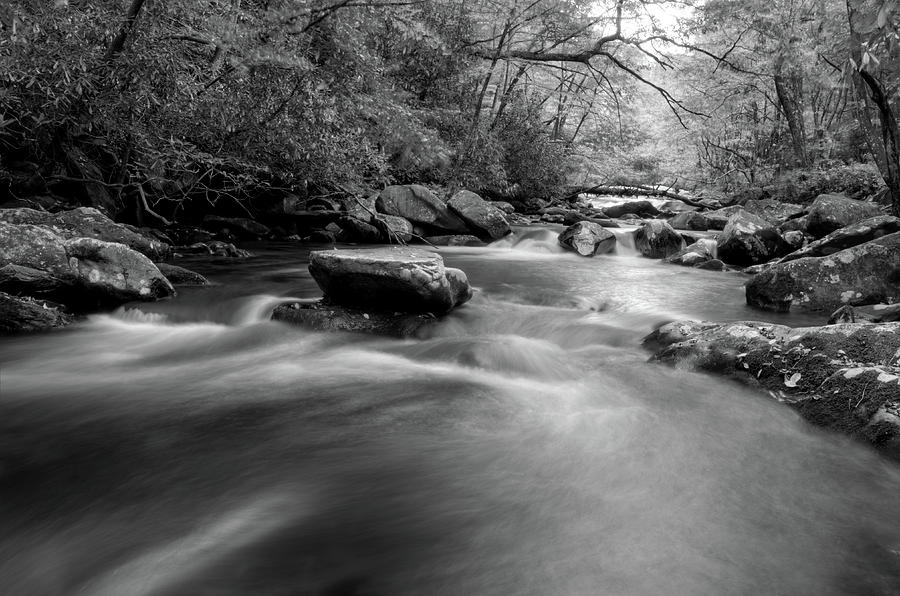 Tellico Waters In Black and White Photograph by Greg and Chrystal Mimbs