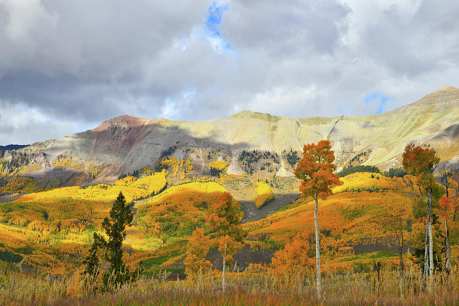 Telluride Highline Fall Color Photograph by Ray Mathis