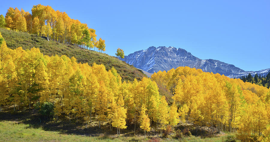 Telluride Hillside Photograph by Ray Mathis