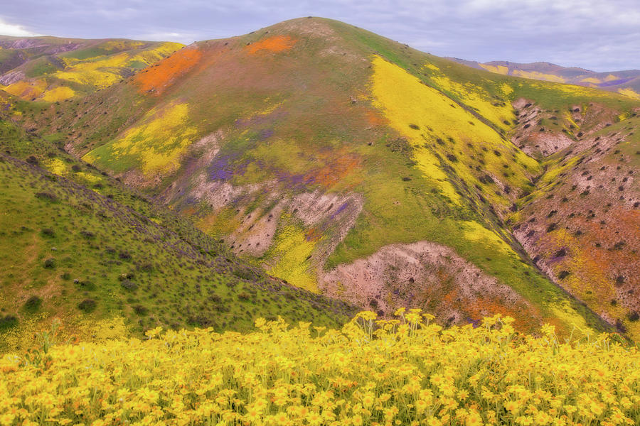 Temblor Range Color Photograph by Marc Crumpler