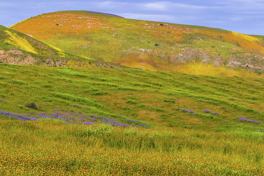 Temblor Range Spring Color Photograph by Marc Crumpler