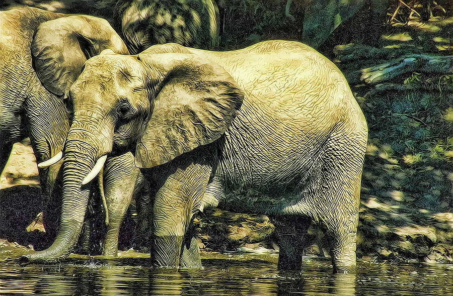 Elephant Photograph - Tembo by Douglas Barnard