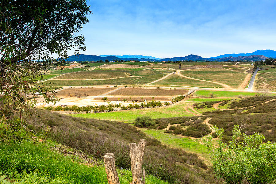 Temecula Wine Country Photograph by Ben Graham