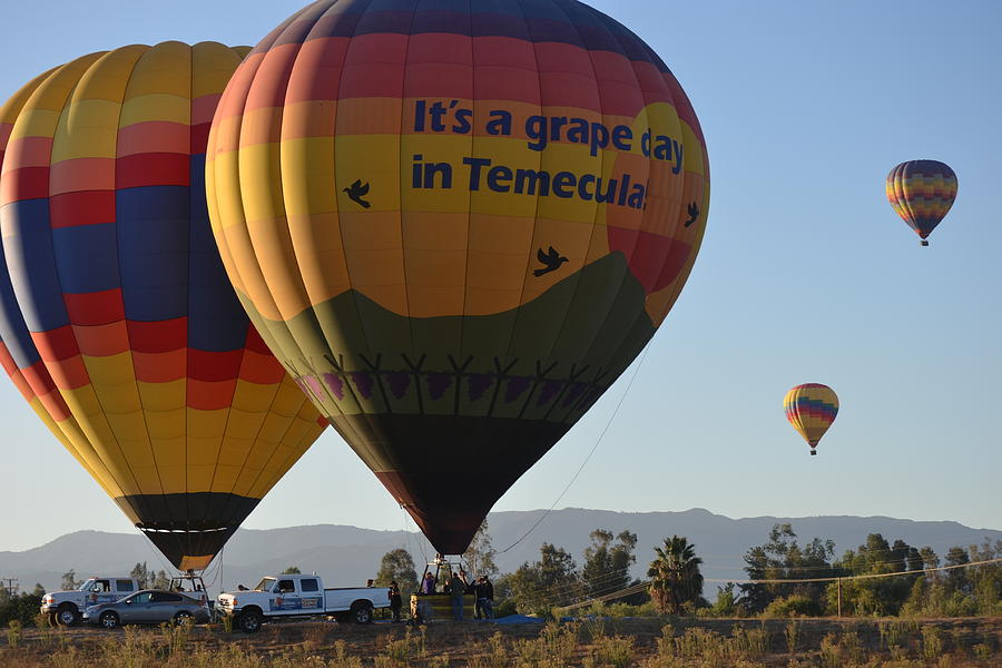 Temecula Wine Country Photograph by Christine Owens Temecula Wine Country Photograph by Christine Owens