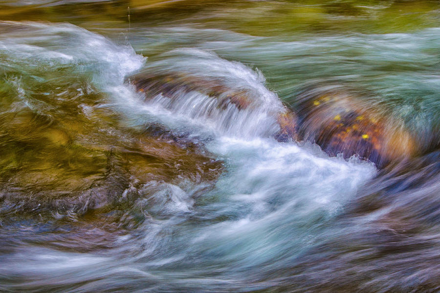 Elkmont Photograph - Tempestuous by Kristina Plaas Elkmont Photograph - Tempestuous by Kristina Plaas