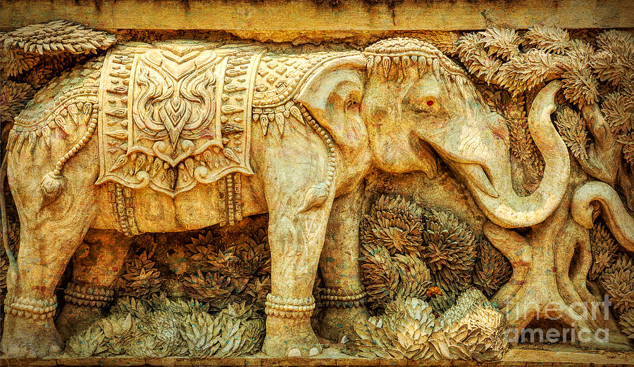 Temple Elephant Photograph by Adrian Evans