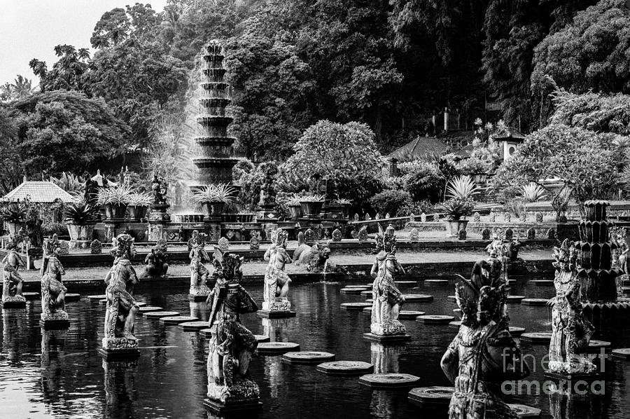 Bali Temple Water Garden Photograph by M G Whittingham