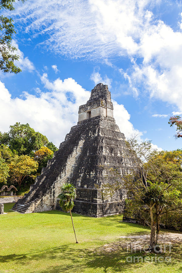 Temple I of the Jaguar - mayan ruins of Tikal - Guatemala Photograph by Matteo Colombo