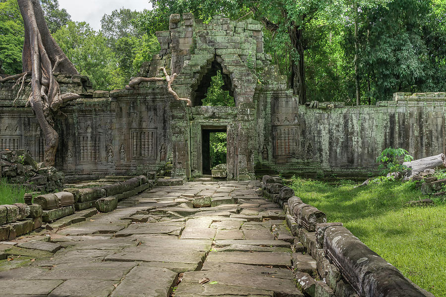  Temple  in the Cambodia Jungle  Photograph by John Webb