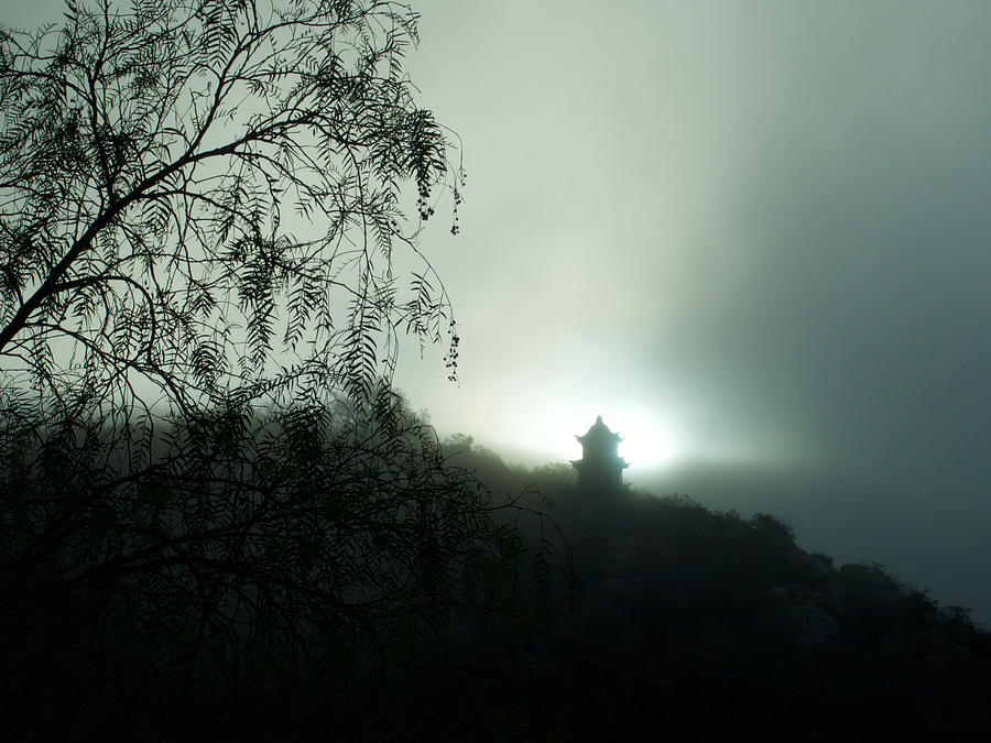 Buddha Photograph - Temple in the Mist by Vanice Medley