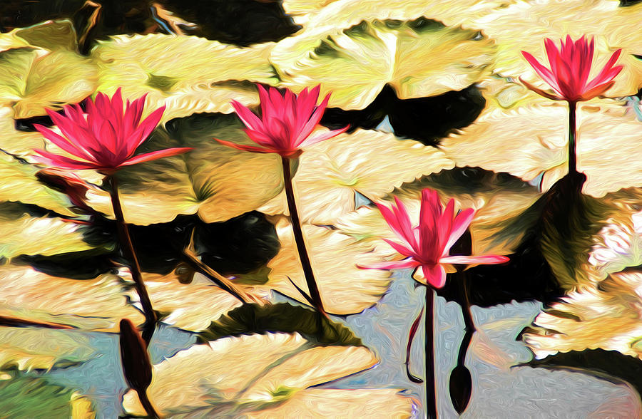Temple Lotus Pond Mixed Media by Dennis Cox Photo Explorer