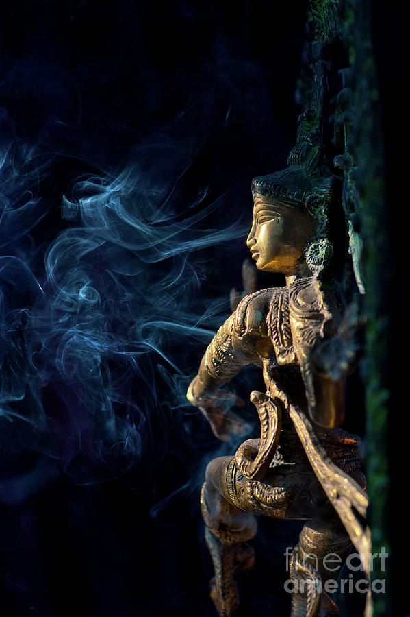 Temple Nataraja  Photograph by Tim Gainey