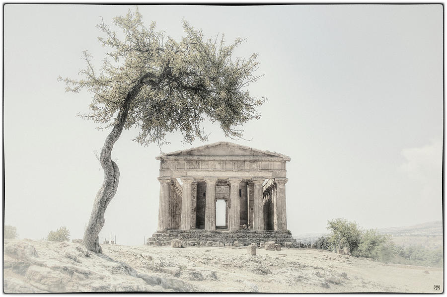 Temple of Concord Photograph by John Meader