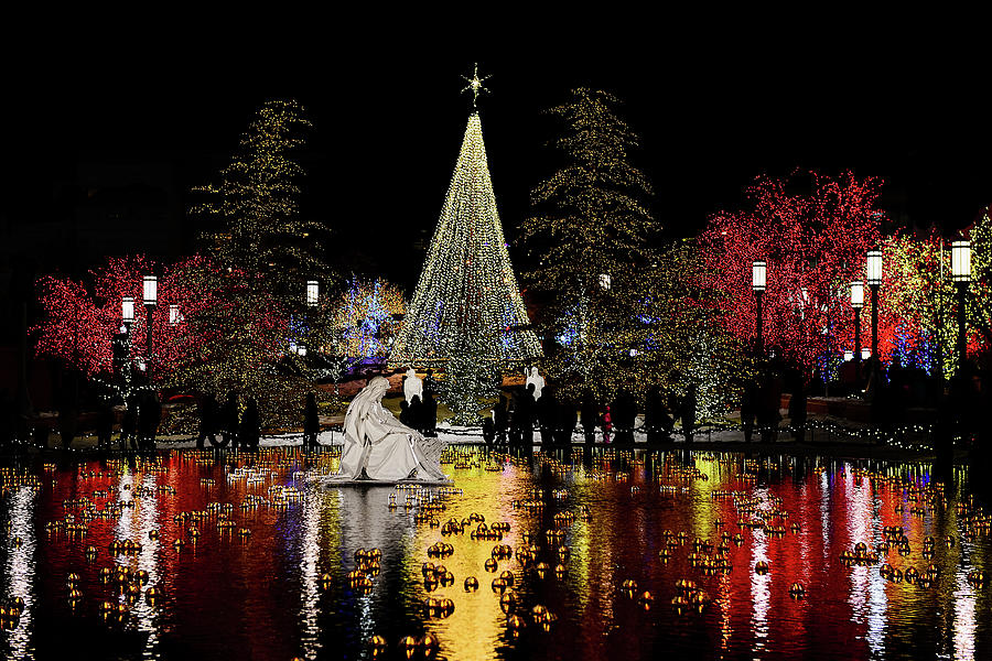 Temple Square Christmas Lights Photograph by Clyn Robinson | Fine Art ...