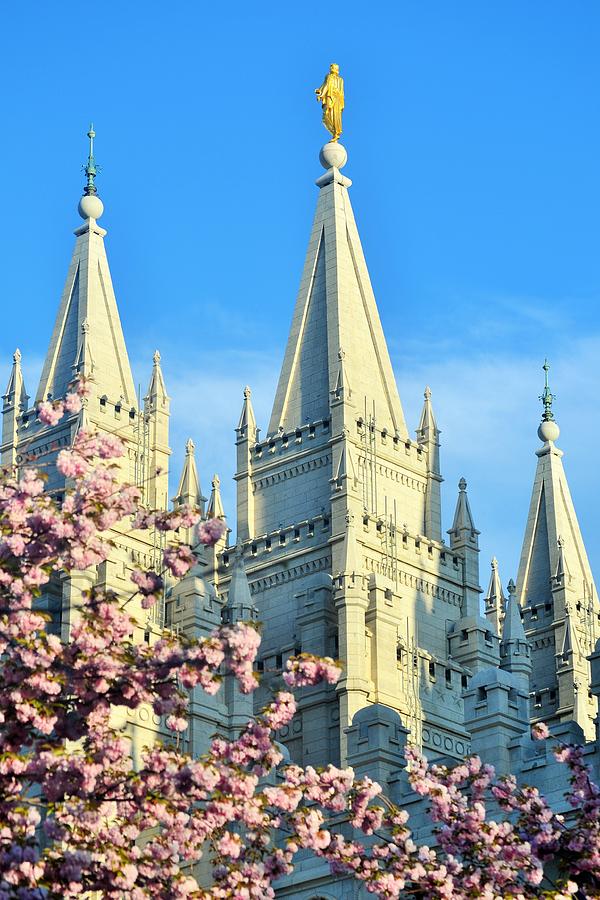 Temple Square Photograph by Michael Steckler - Fine Art America