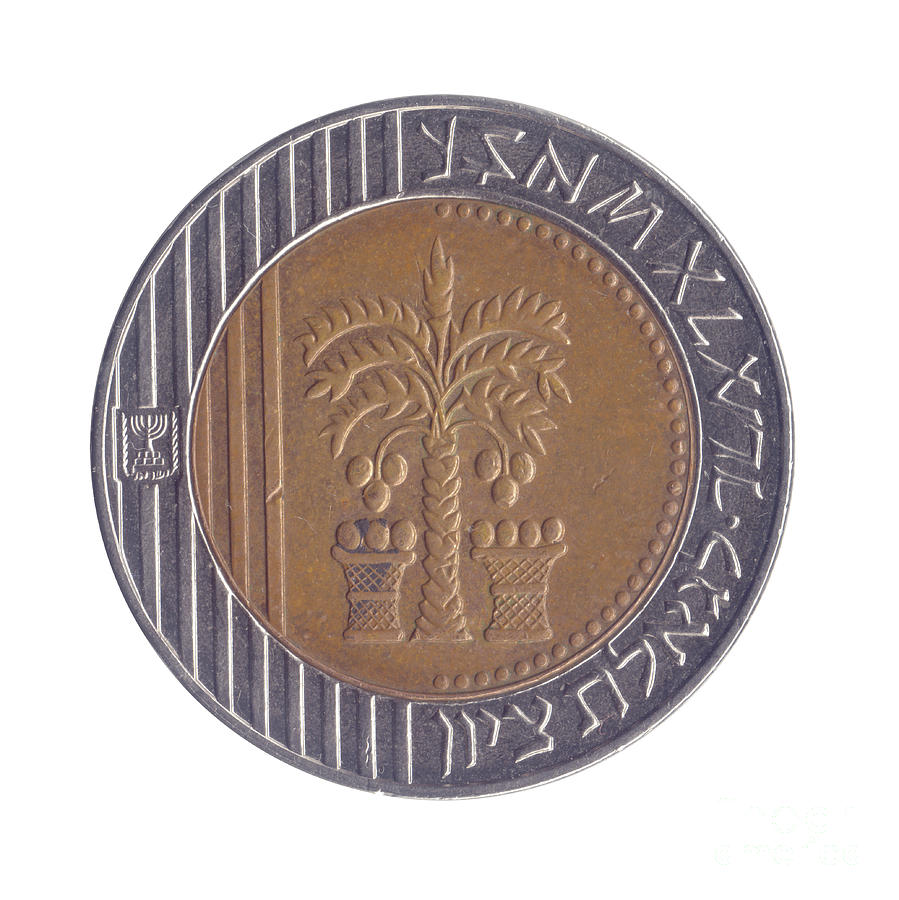 shekel coin crypto