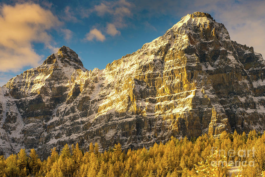 Ten Peaks Mount Tuzo and Golden Larch Valley Larches at Sunrise Photograph by Mike Reid