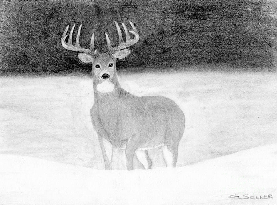 Ten Point Drawing by George Sonner