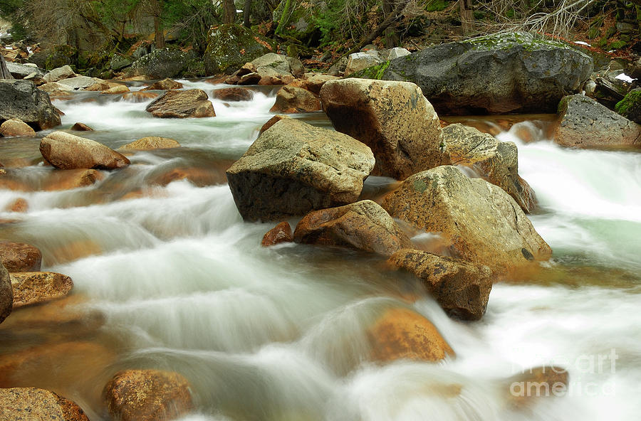 Tenaya Creek Photograph by Marc Bittan