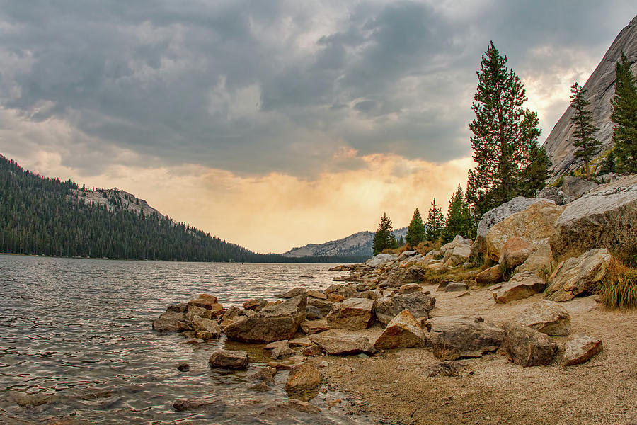 Tenaya Lake - Yosemite Photograph by Kristia Adams