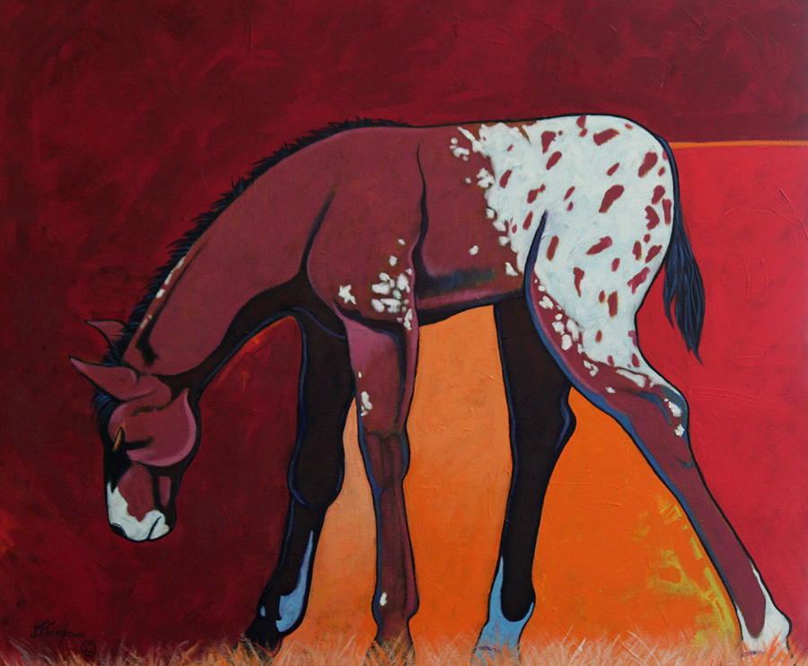 Wildlife Painting - Tender Moment - Appaloosa Colt by Joe  Triano
