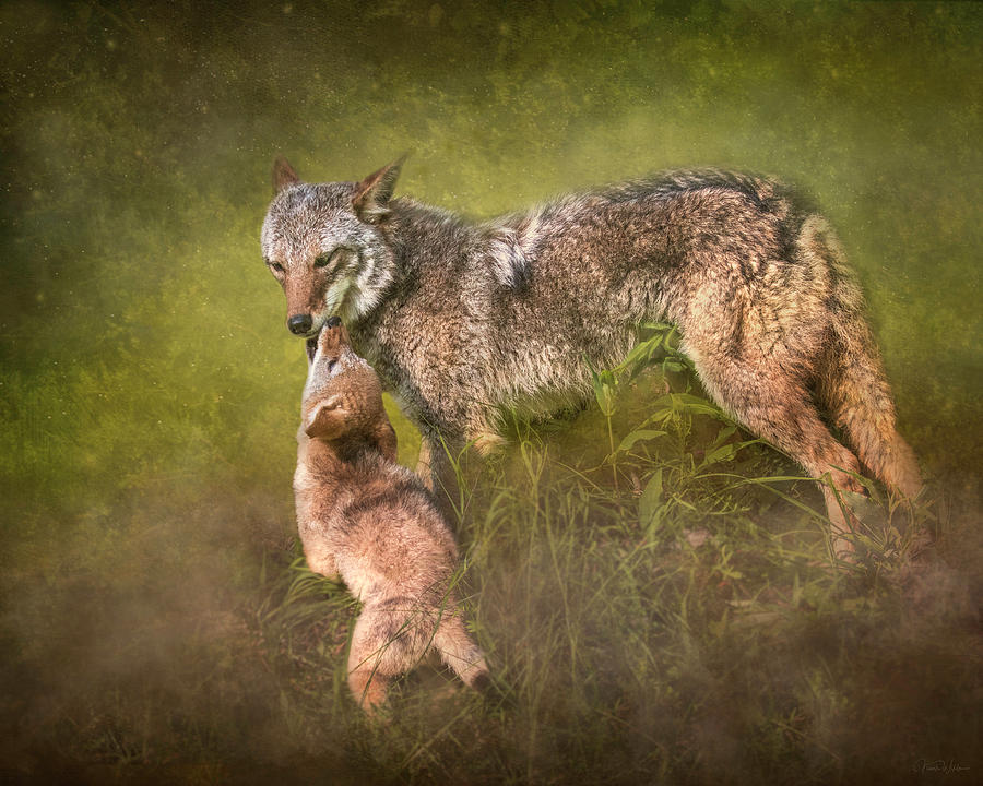 Tender Moment by Nicole Wilde Tender Moment by Nicole Wilde