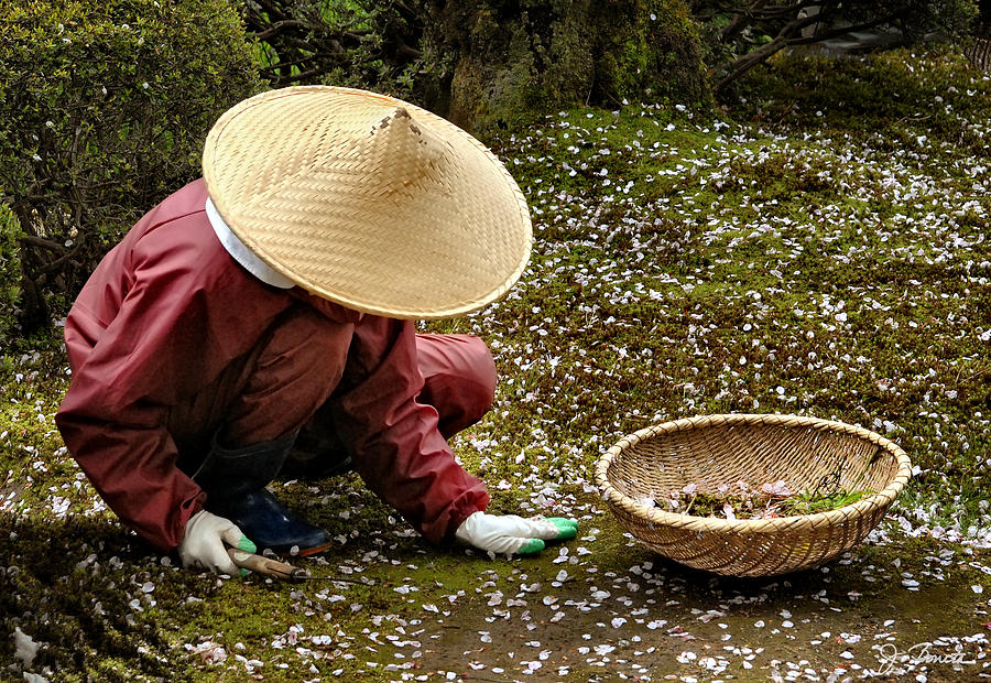 Tending The Japanese Garden Photograph by Joe Bonita