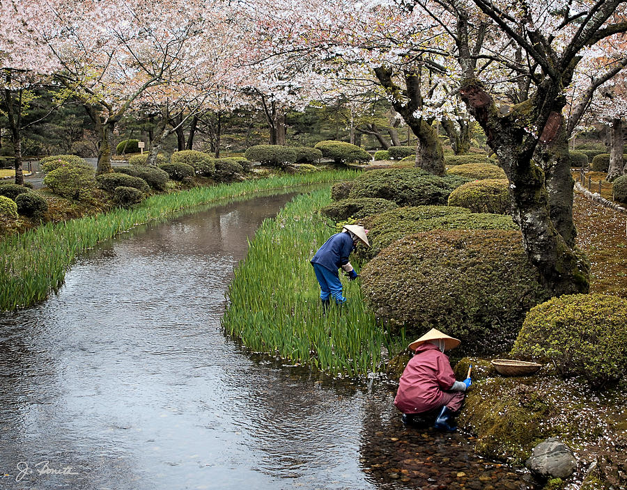 Tending the Japanese Garden No. 2 Photograph by Joe Bonita