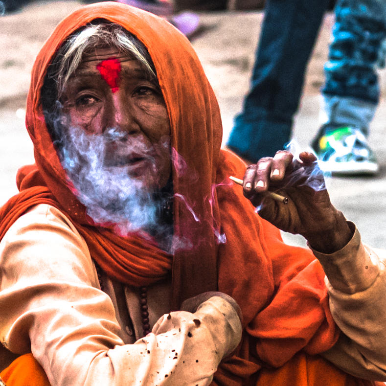 Tendu Rolled Leaf Photograph by Anupam Gupta