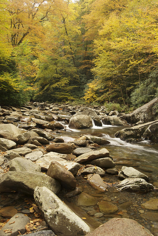 Tennessee Autumn Stream 6059 Photograph by Michael Peychich