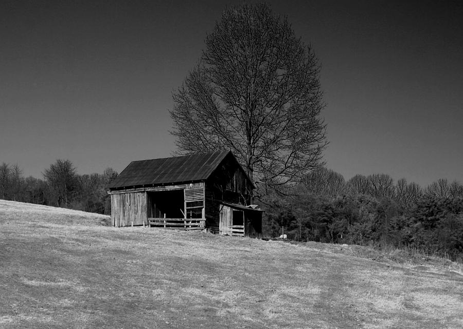 Tennessee Farm Photograph by Karen Harrison Brown