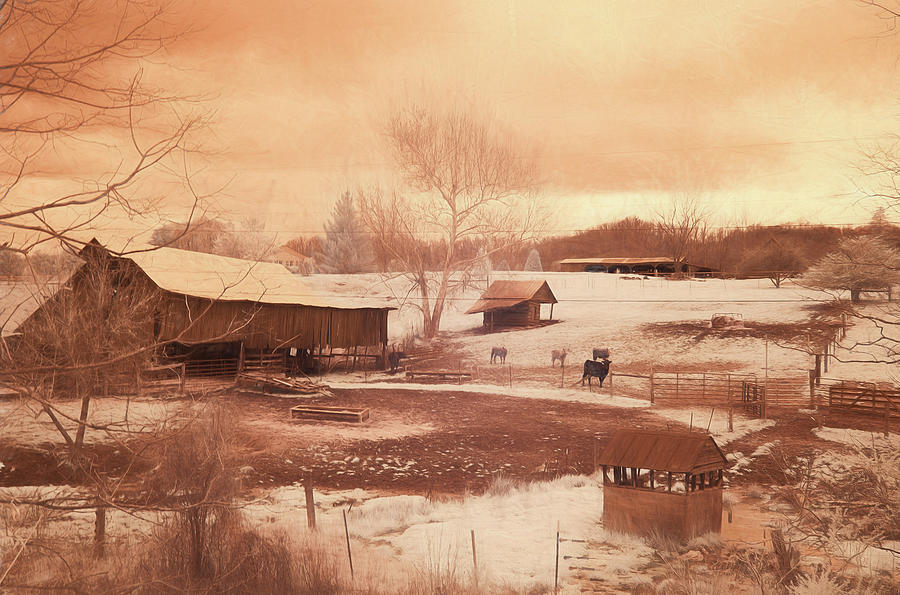 Tennessee Farmland Digital Art by Jim Cook