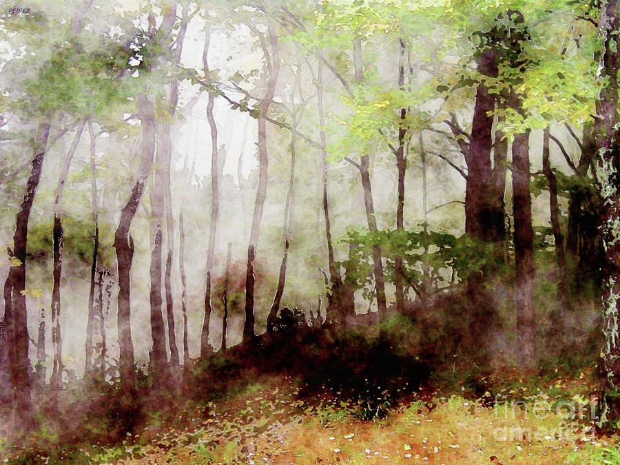 Tennessee Forest Fog Digital Art by Phil Perkins