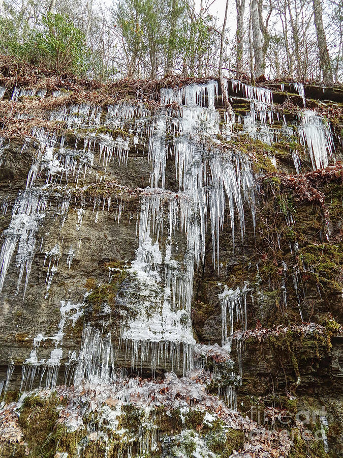 Tennessee Icicles Photograph by Phil Perkins