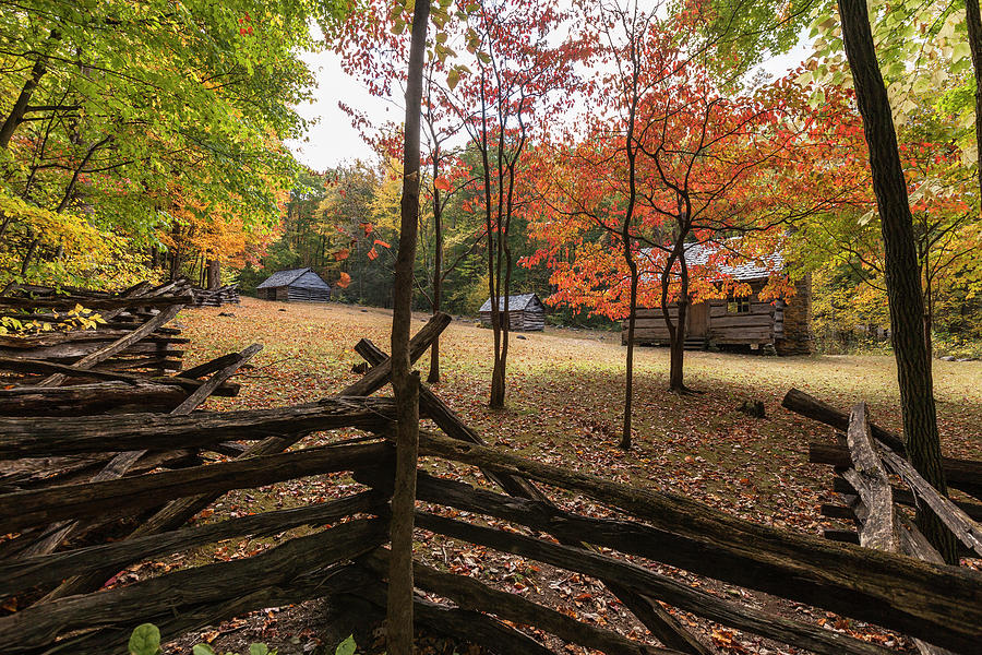 Tennessee Mountain Cabins Photograph by Scott Slone