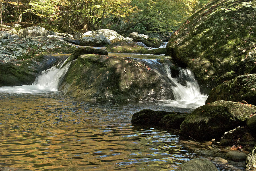 Tennessee Mountain Stream Photograph by Michael Peychich