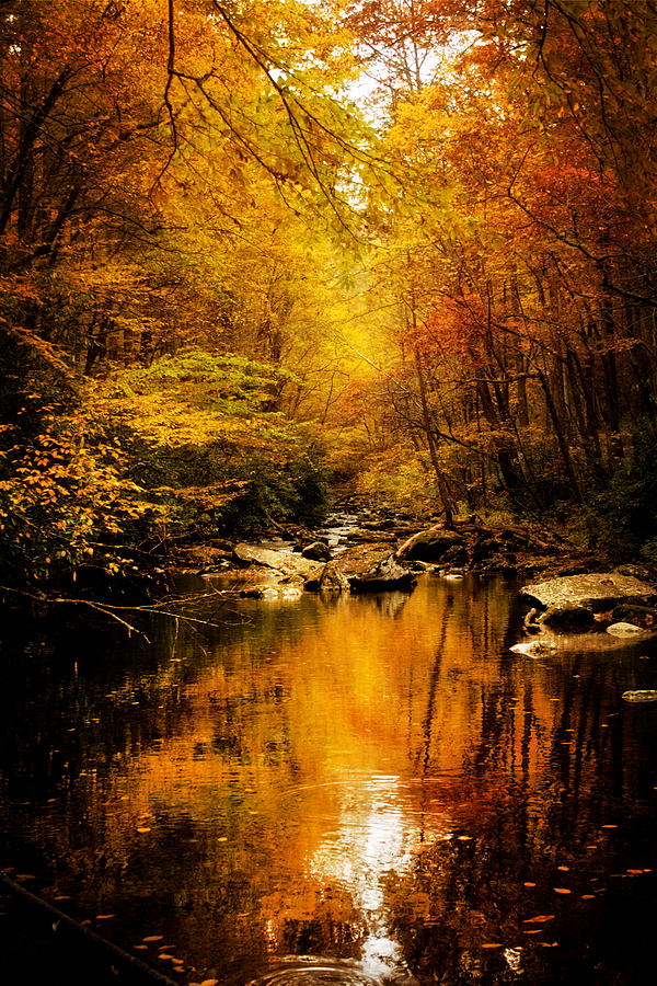 Tennessee Mountains Autumn Photograph by Greg and Chrystal Mimbs