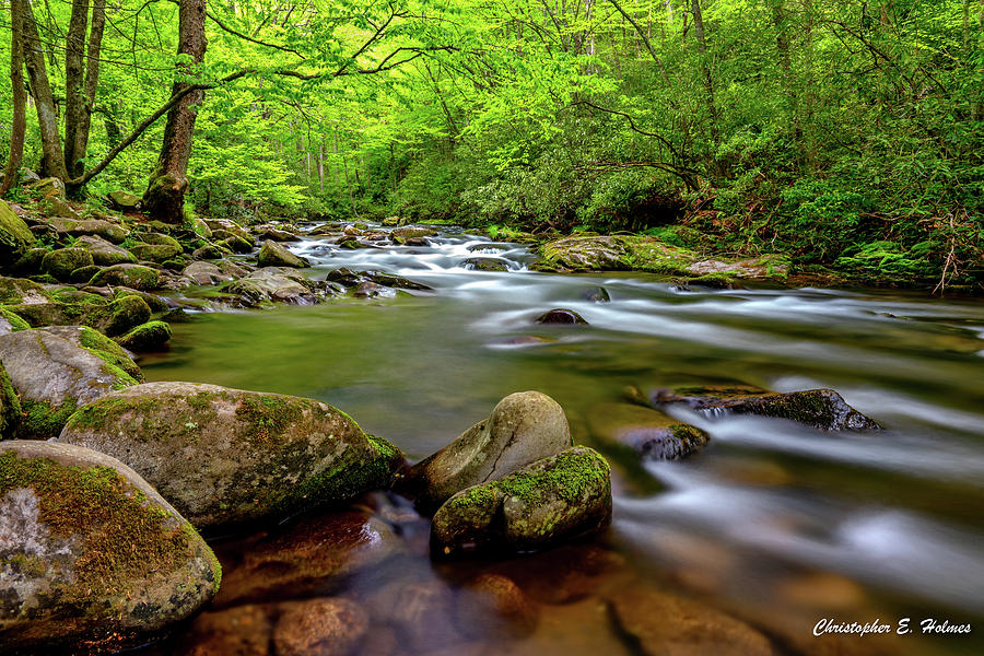 Tennessee Stream Photograph by Christopher Holmes