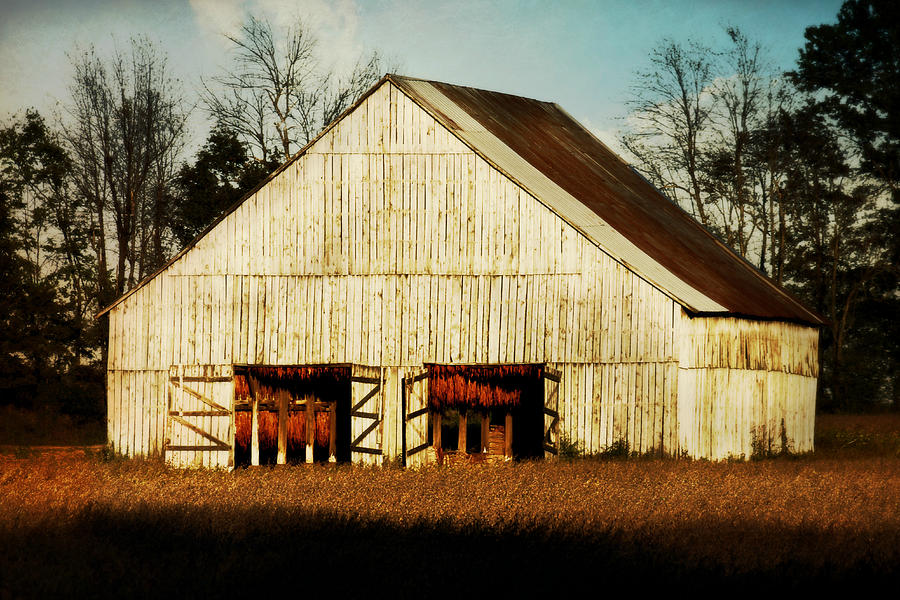 Tennessee Tobacco Barn Photograph by Julie Hamilton