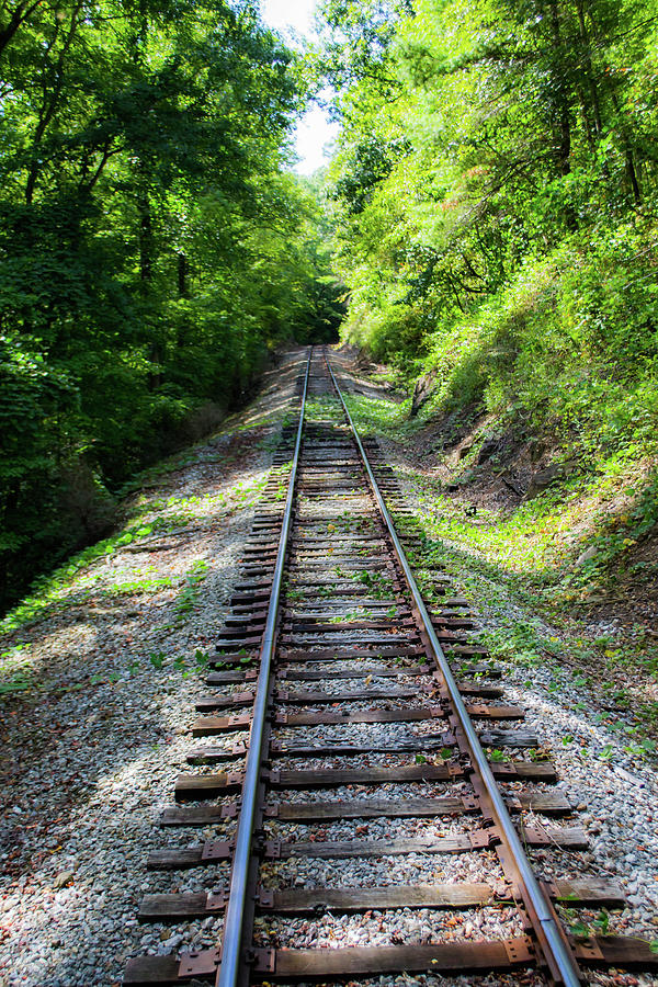 Tennessee Valley Railway Photograph by Shannon Harrington