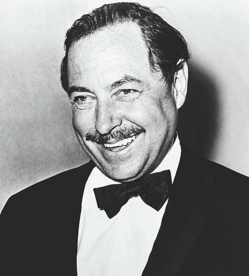 Tennessee Williams 1964 Photograph by Mountain Dreams