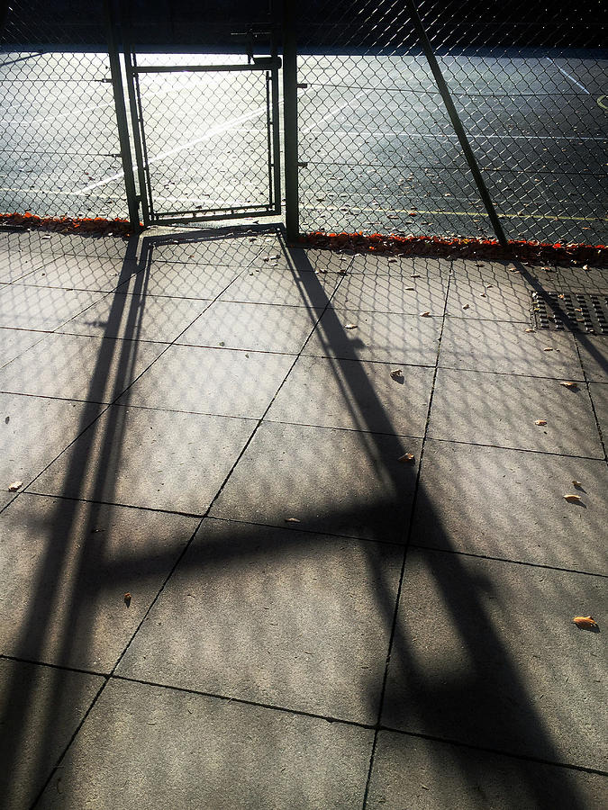 Tennis court shadows Photograph by Tom Gowanlock