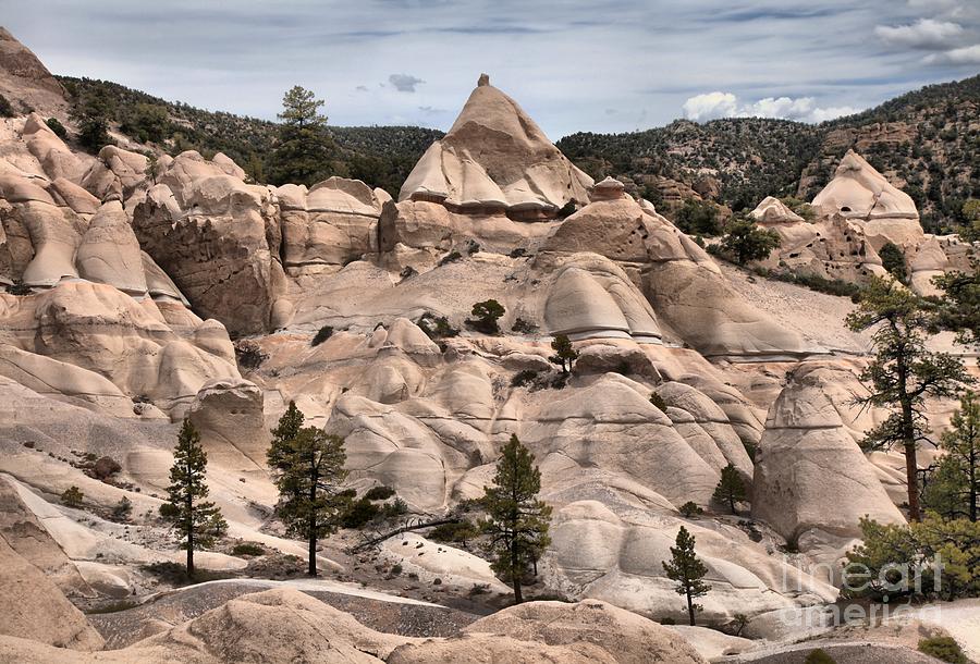 Tent Rock City In Dixie National Forest Photograph by Adam Jewell