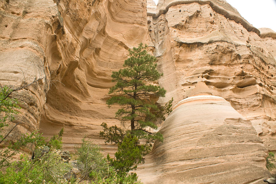 Tent Rock NM View Photograph by James Gay