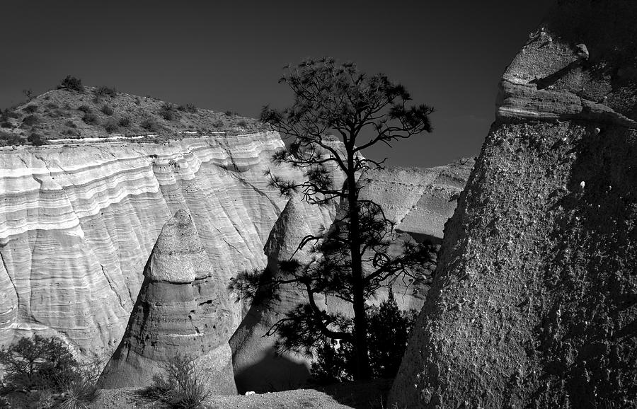 Landscape Photograph - Tent rocks and pine tree by Jane Selverstone
